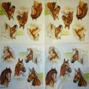 058 Horses (58) - CS